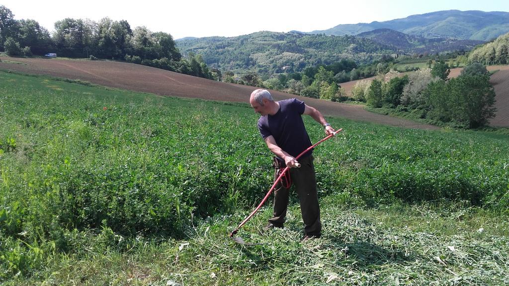 Vila Agriturismo Stazione Di Monta Vicchio Exteriér fotografie