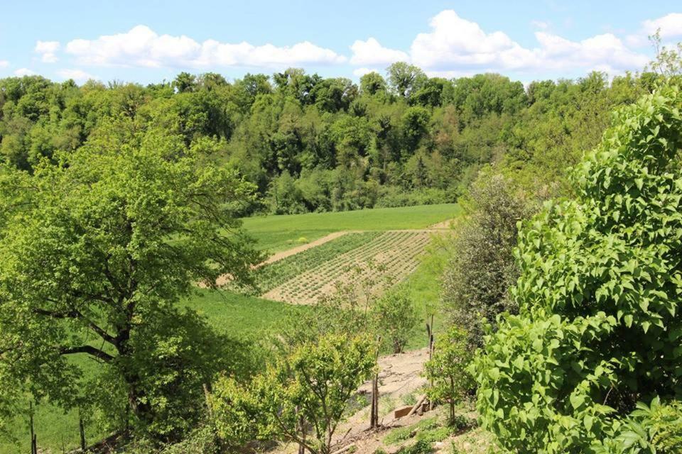 Vila Agriturismo Stazione Di Monta Vicchio Exteriér fotografie